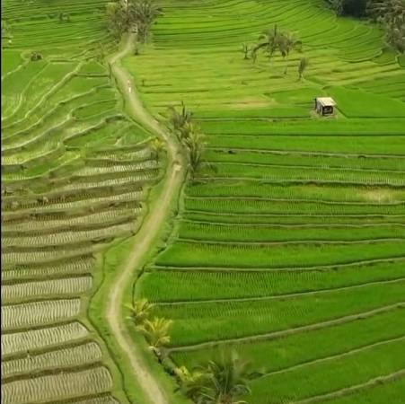 Craft and Culture Package